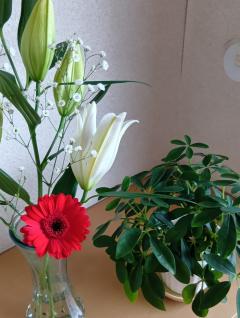 ご主人様いらっしゃい 大分店(大分市) ｳﾒ♡１人エッチ覗いてコース