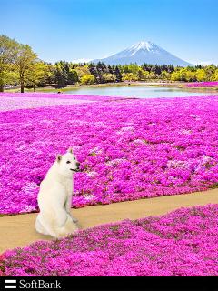 あったかい‼️