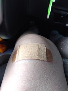 人妻セレブ 延岡市デリヘル 野風(のかぜ) 写メ日記「本日お休みです」