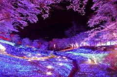 Roots(ルーツ)　Roots求人募集中☆