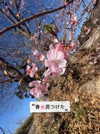 鹿児島ちゃんこ 霧島店　