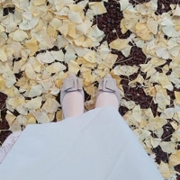 向かっています