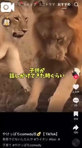 【やけっぱち】