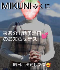 人妻ステーションポータブル　