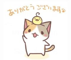 (??????)?????...*゜