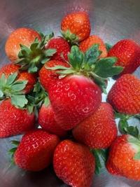 待ちナビ(福岡市) しょう