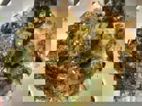 おはようございます