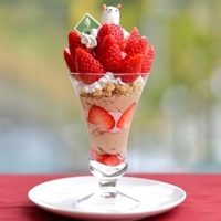 向かっています