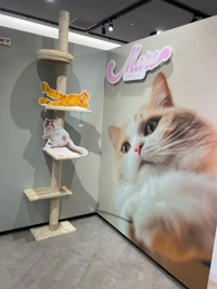 水曜日以降空きあります