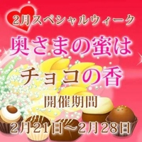 お得なキャンペーン開催中