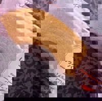 もどりました！