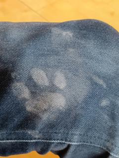 おはようございま〰️す🐞✨