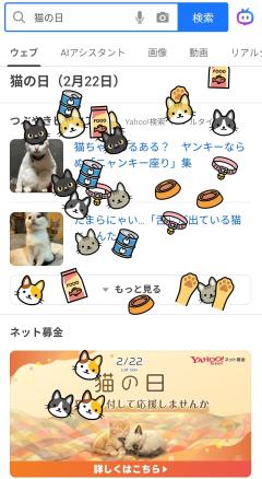 にゃん😻にゃん😻にゃん