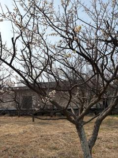 皆様、こんにちは。