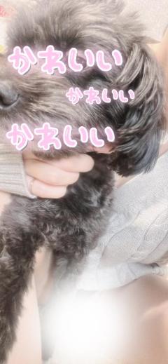 MANIN-ONREIマン淫御礼　