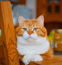 エンタメGR　あいの