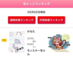 ネコじゃなくて、オオカミみたい 🌛