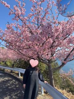 JaPON　ゆかいな電話番たち