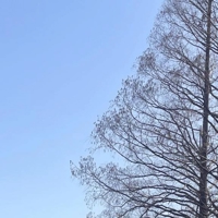 23日(月)本日出勤です