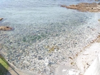 まさか！悲し過ぎます