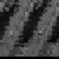 マイクロTバック大大好評