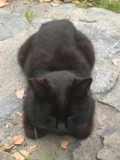 鹿児島天文館デリヘルLOVEVE～ラヴィーヴ～　