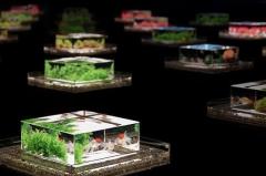 こんばんは〜🌆