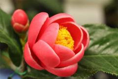 こらから宜しくお願いします??