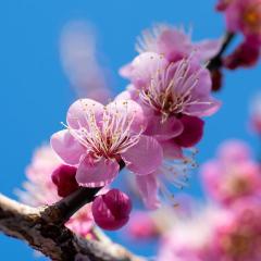 ラブ♡エル霧島店　