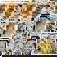 ありがとうございます！