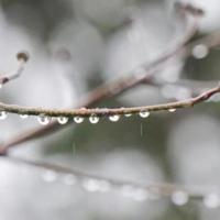 おはようございます