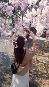 明日キャンセル2件目