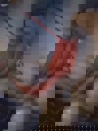 40分、指名してくれたおにいさんへ