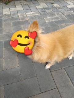 戦闘モードチュ〜🩷⤴️