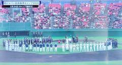 🌴宮崎から世界一へ⚾️