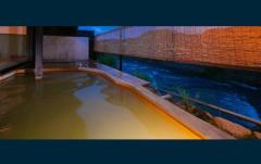 ぷにっ娘　葵ｱｵｲ