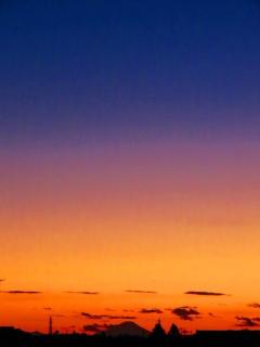 ミストレス(デリSM) レイラ(痴女・女王様)