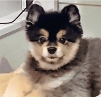 おはようございます