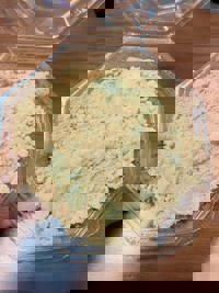 大人の遊園痴「スピーディー」(宮崎市) らむ（全てに興味あり）