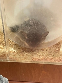 お気に入りの場所