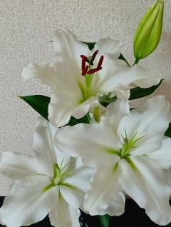 おはようございます🙂‍↕️💕