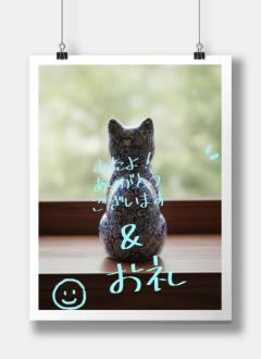 JaPON　志保ｼﾎ