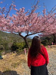 JaPON　志保ｼﾎ