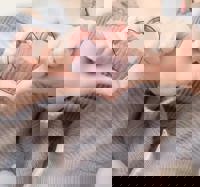 空きました(≧▽≦)