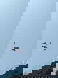 宮崎ちゃんこ中央通店 宮崎市デリヘル さな 写メ日記「なんとこの時間！？」