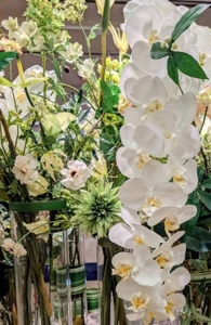 ３月も逢いたい