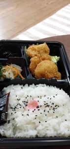 久々に志布志の海を