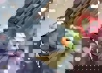 harmonyハーモニー(沖縄市) かおるこ(kaoruko)