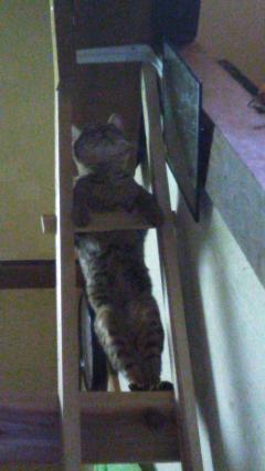 お疲れさまです😊