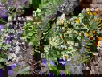 宜しくお願いします